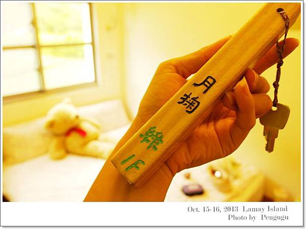 SAM_4847-1