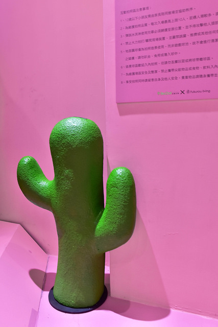 DSC_7078