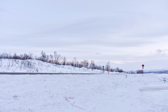 _DSC8381