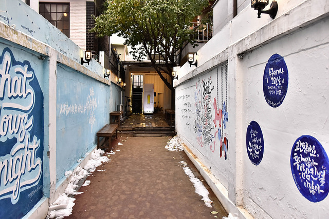 _DSC5337