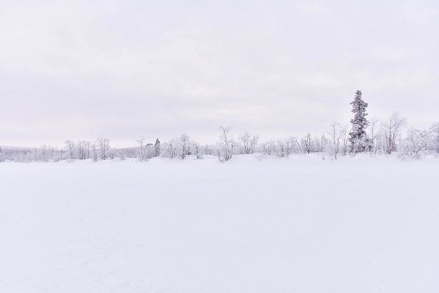 _DSC9282