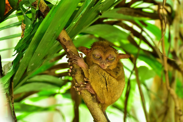 DSC_5981