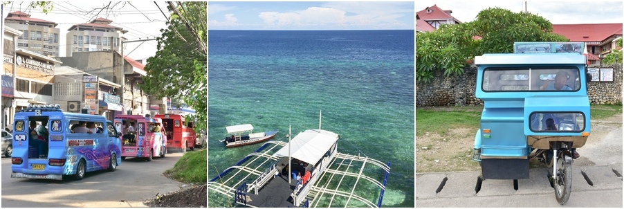 cebu-7.jpg
