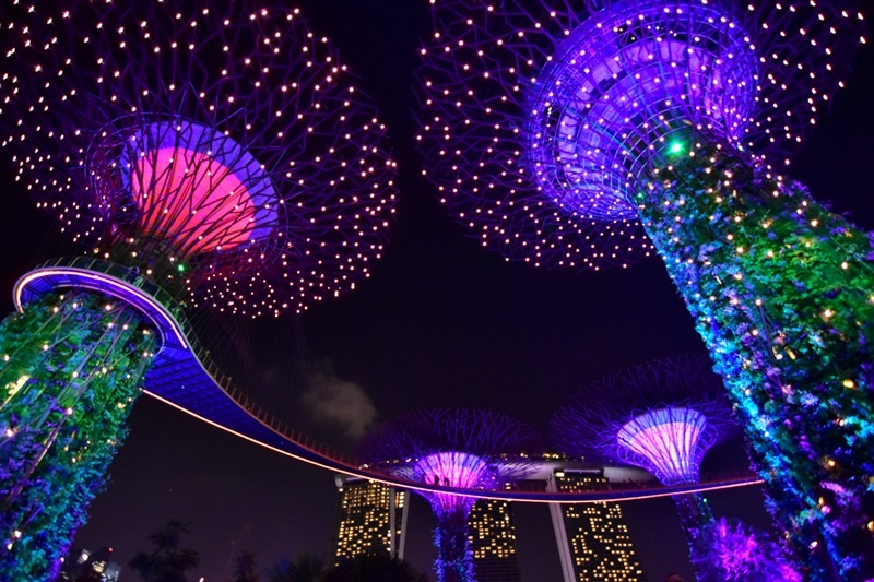 超級樹燈光秀 超級樹燈光秀