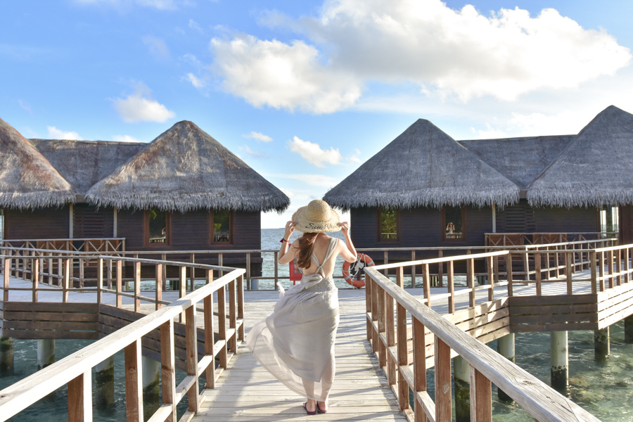 DSC_3067.JPG DSC_3067.JPG