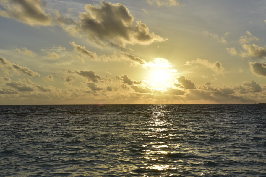 DSC_3156.JPG