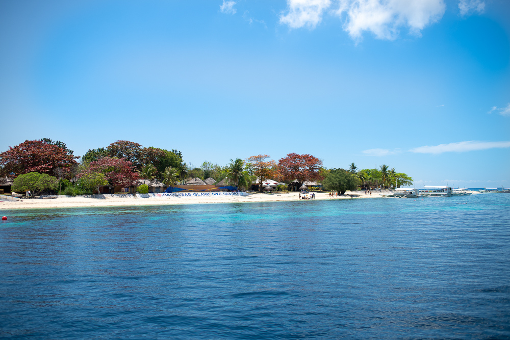 DSC_6982.jpg