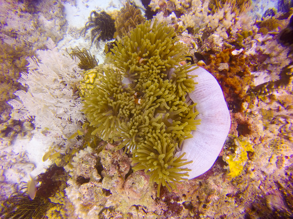 G0044955.jpg