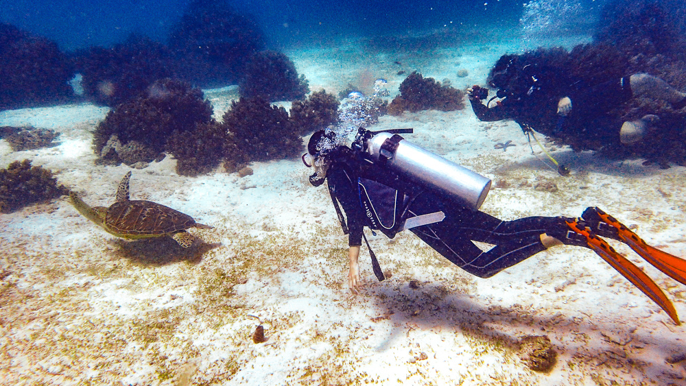 P3269526.jpg