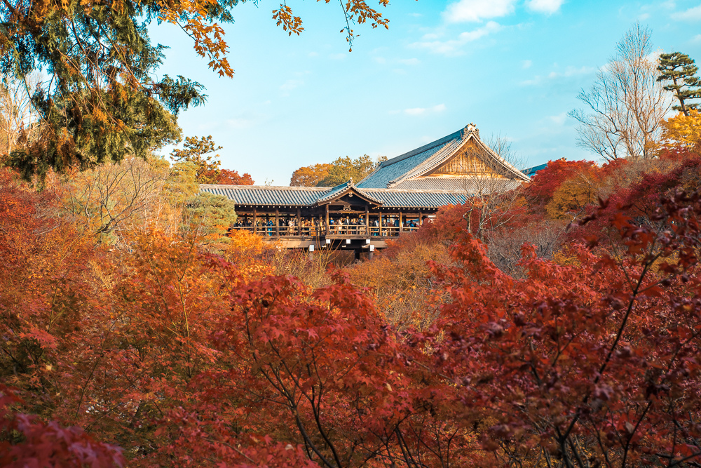 京都東福寺賞楓