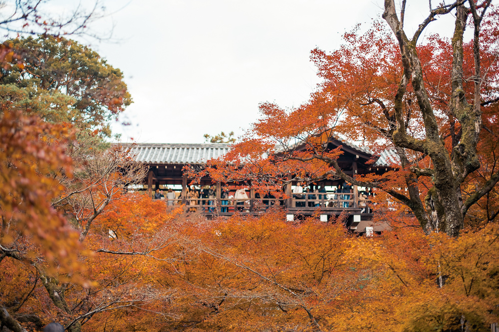 通天橋