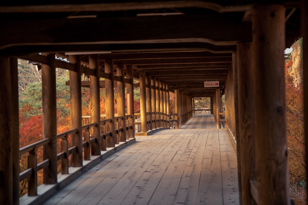 通天橋