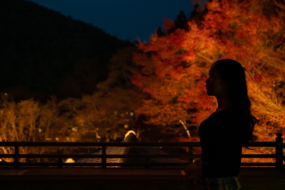 京都賞楓景點