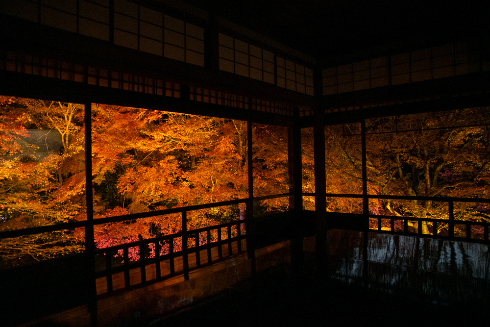 京都賞楓景點