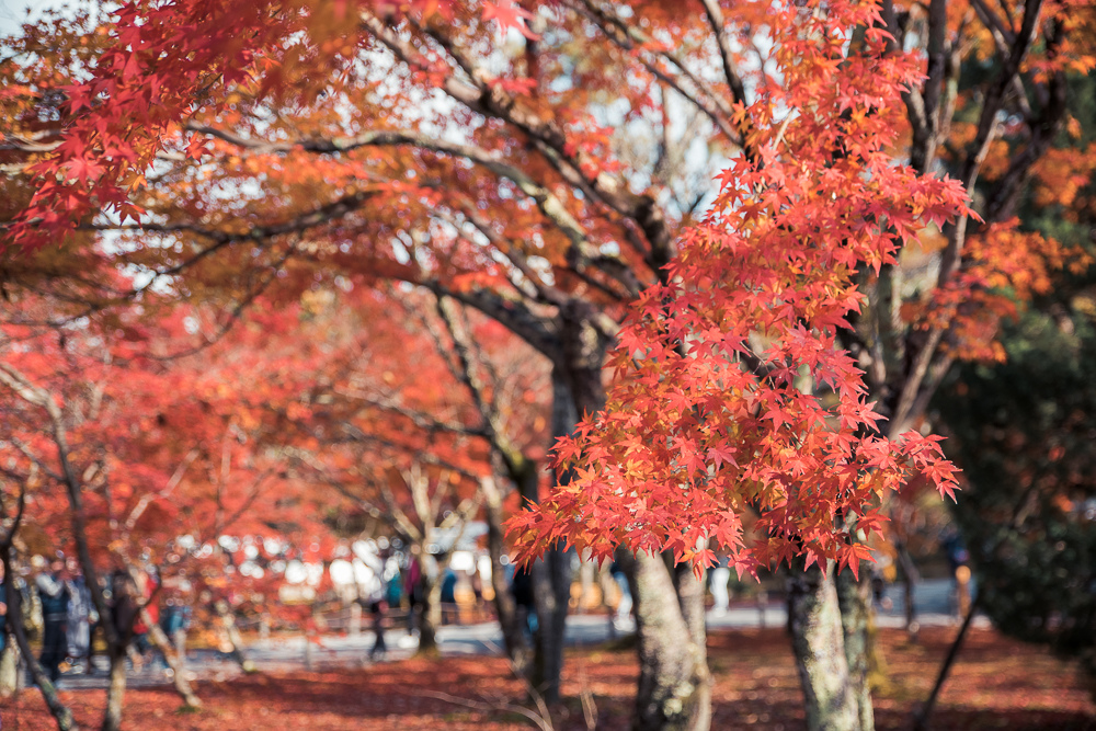 京都南禪寺