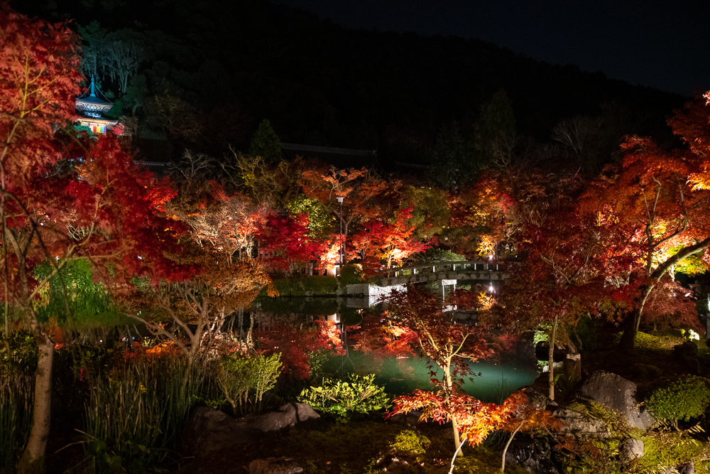京都賞楓景點
