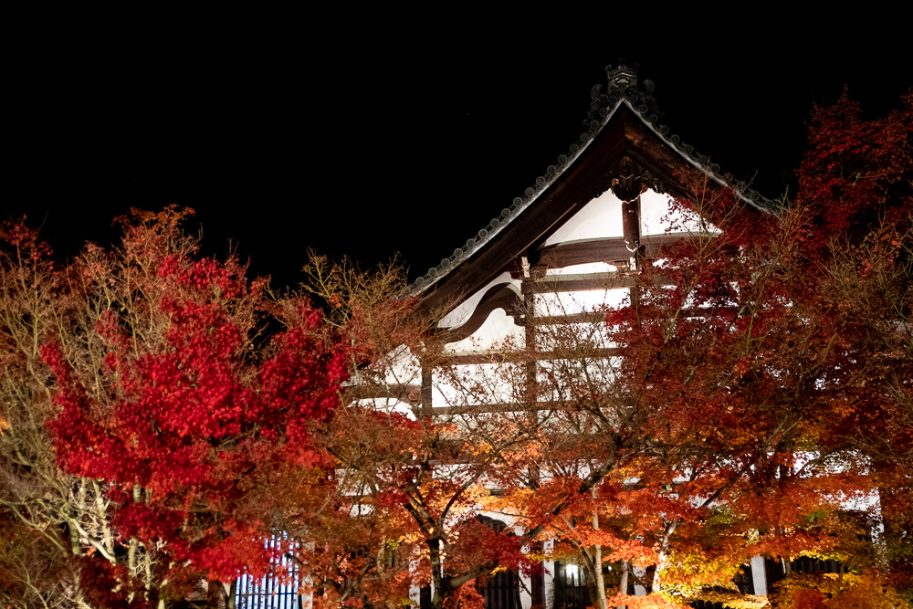 京都賞楓景點