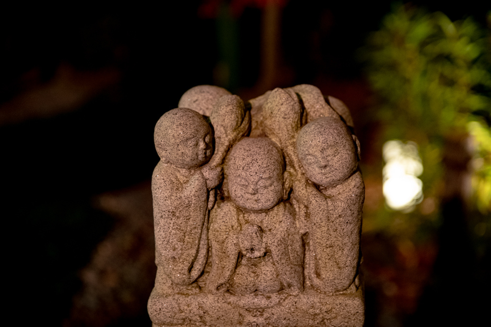 DSC_2124.jpg