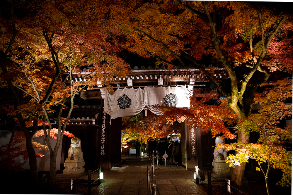 京都賞楓景點