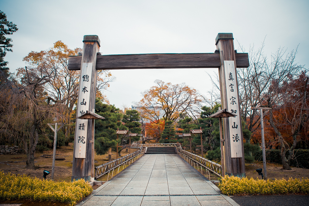 智積院