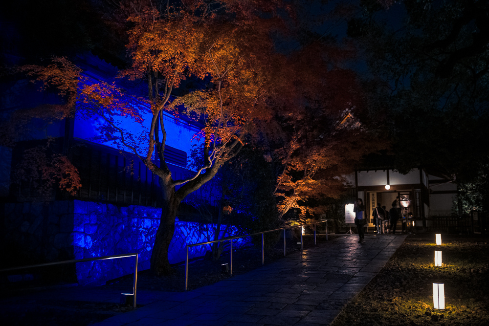 ​​青蓮院