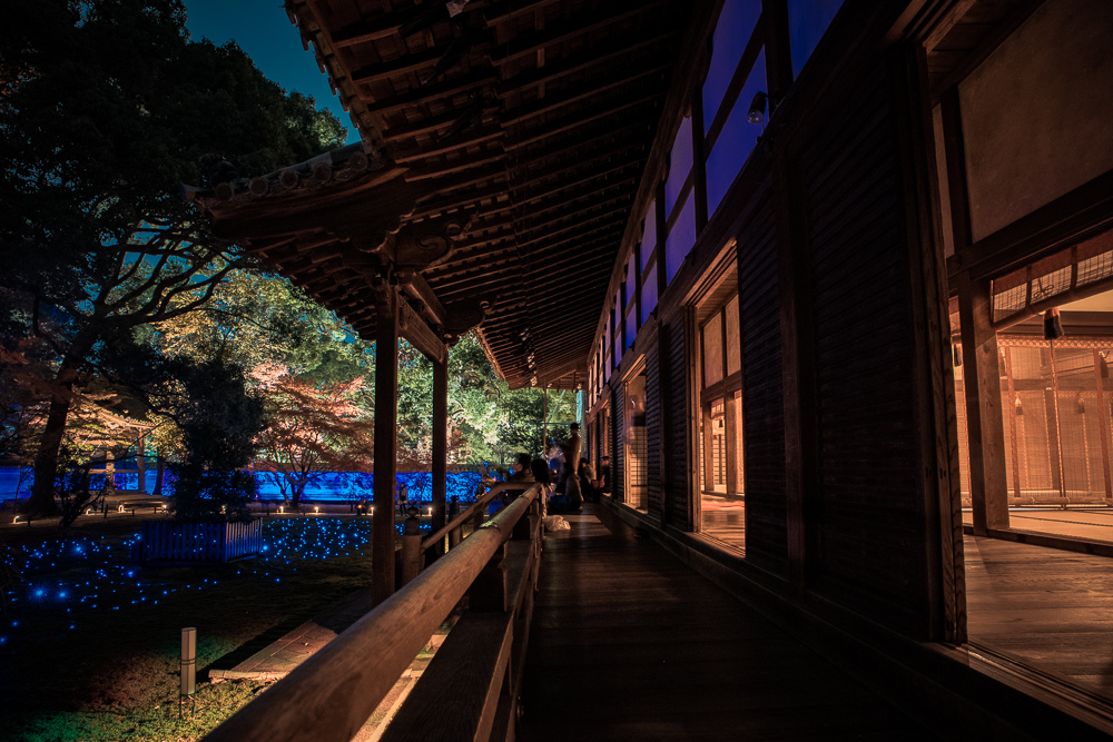 ​​青蓮院