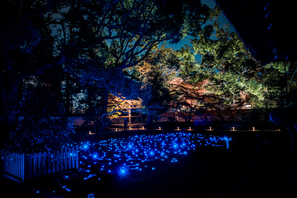 ​​青蓮院