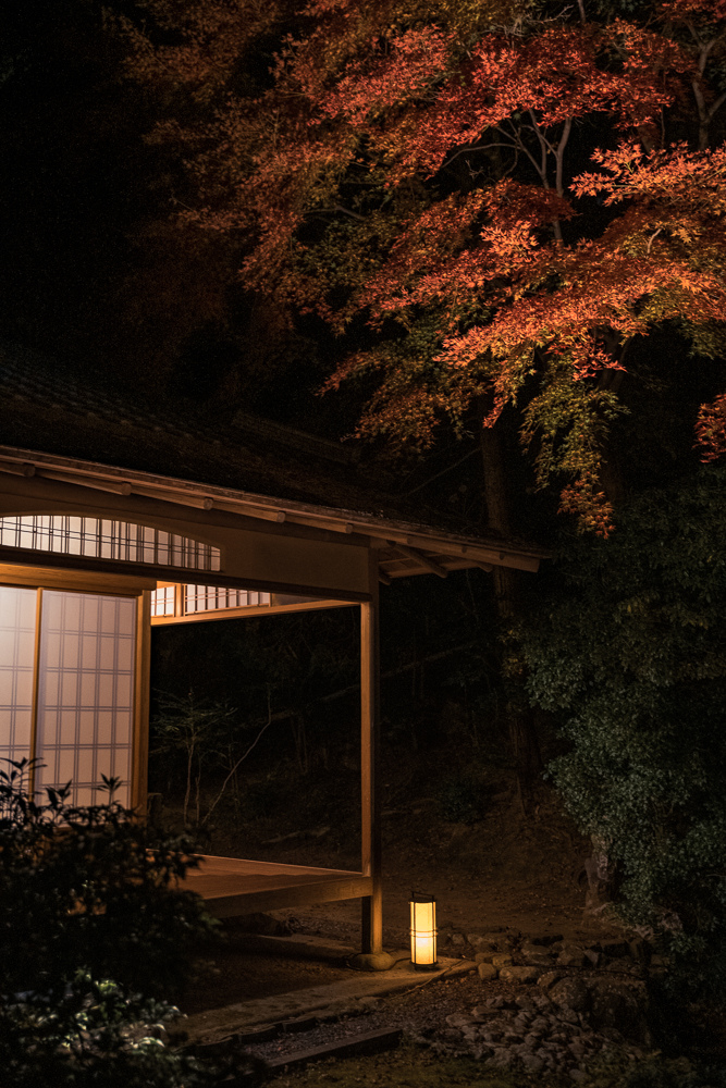 ​​青蓮院