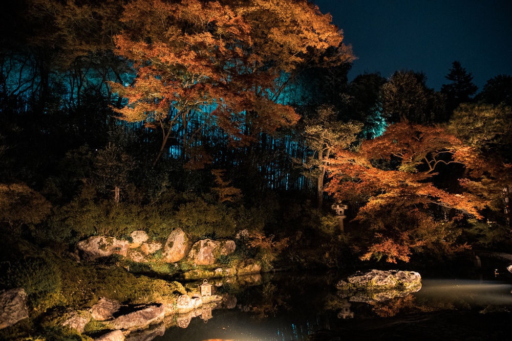 ​​青蓮院夜間參拜