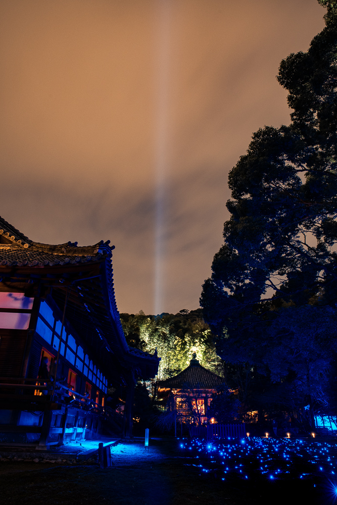 ​​青蓮院
