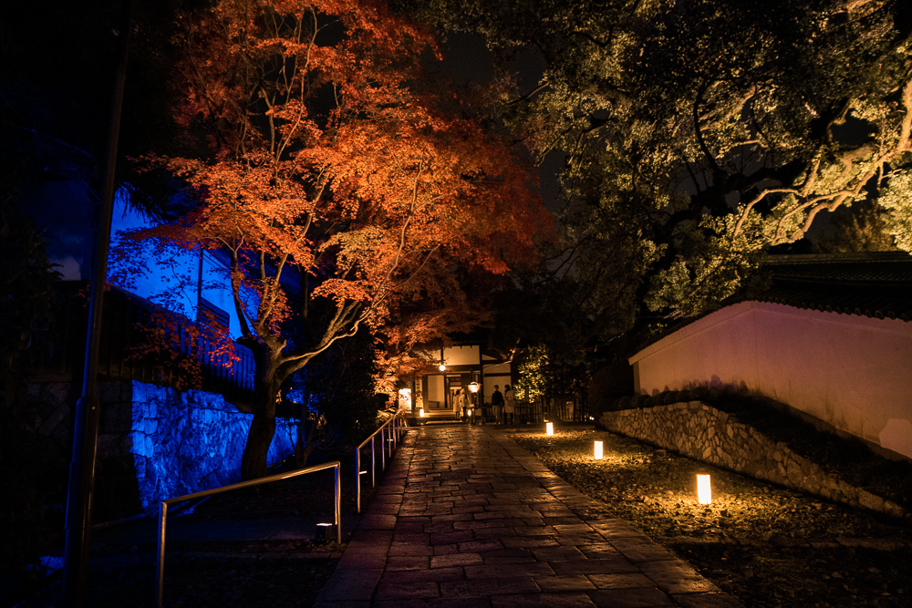 ​​青蓮院夜間點燈