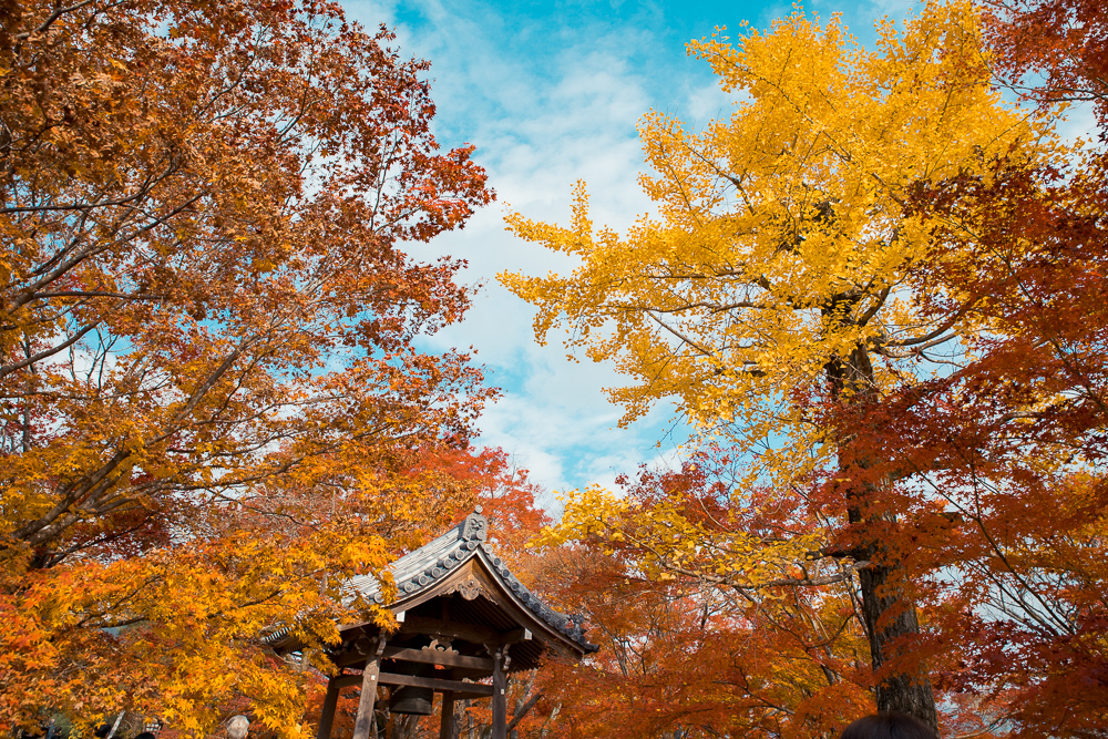 常寂光寺