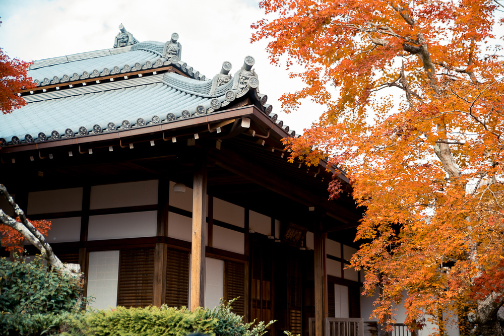 嵐山賞楓景點