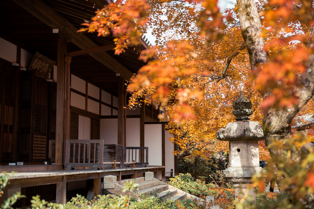 常寂光寺賞楓