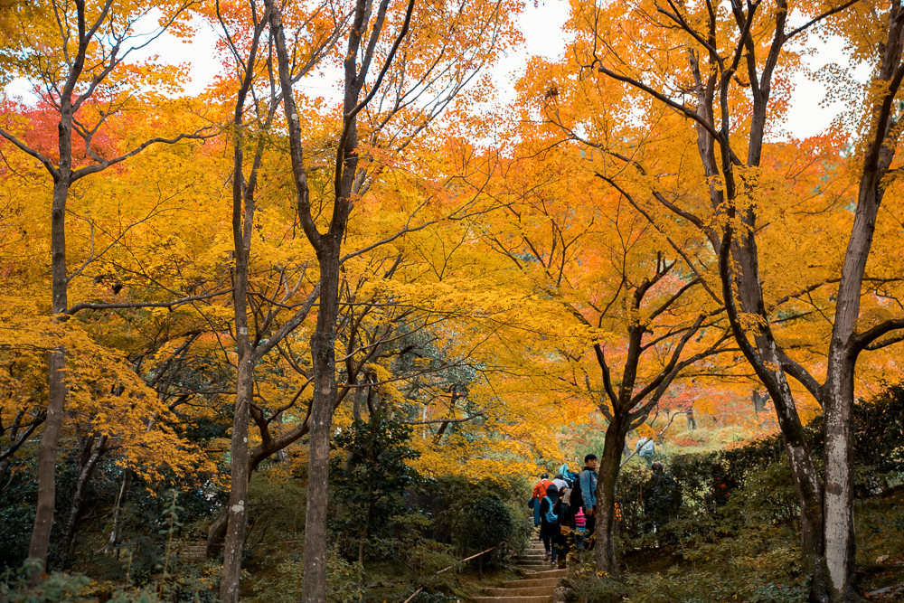常寂光寺