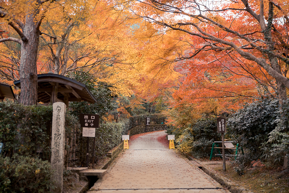 嵐山賞楓景點