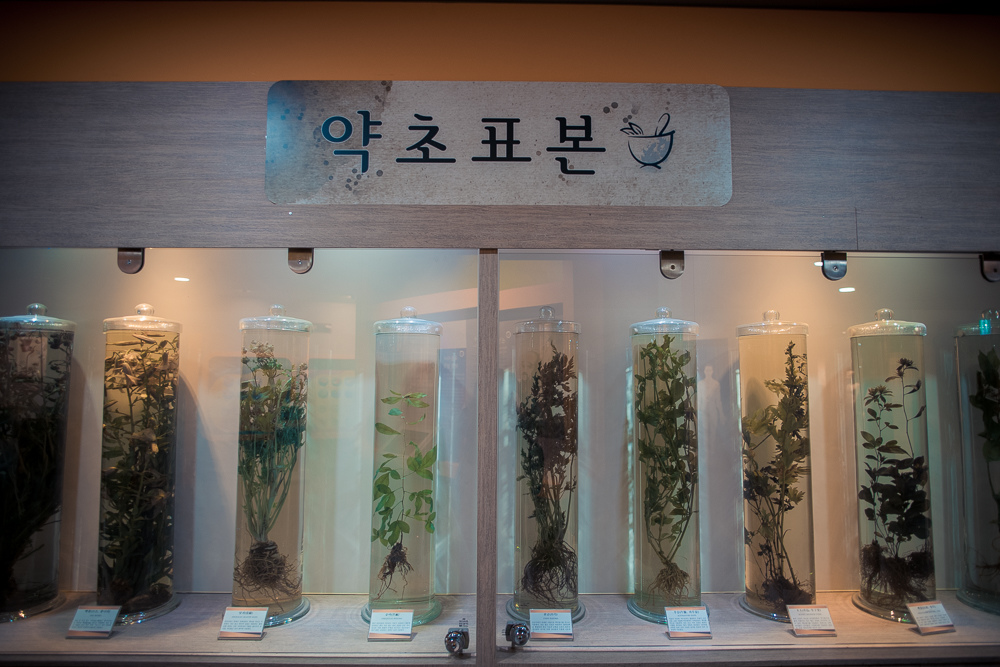 藥令博物館 