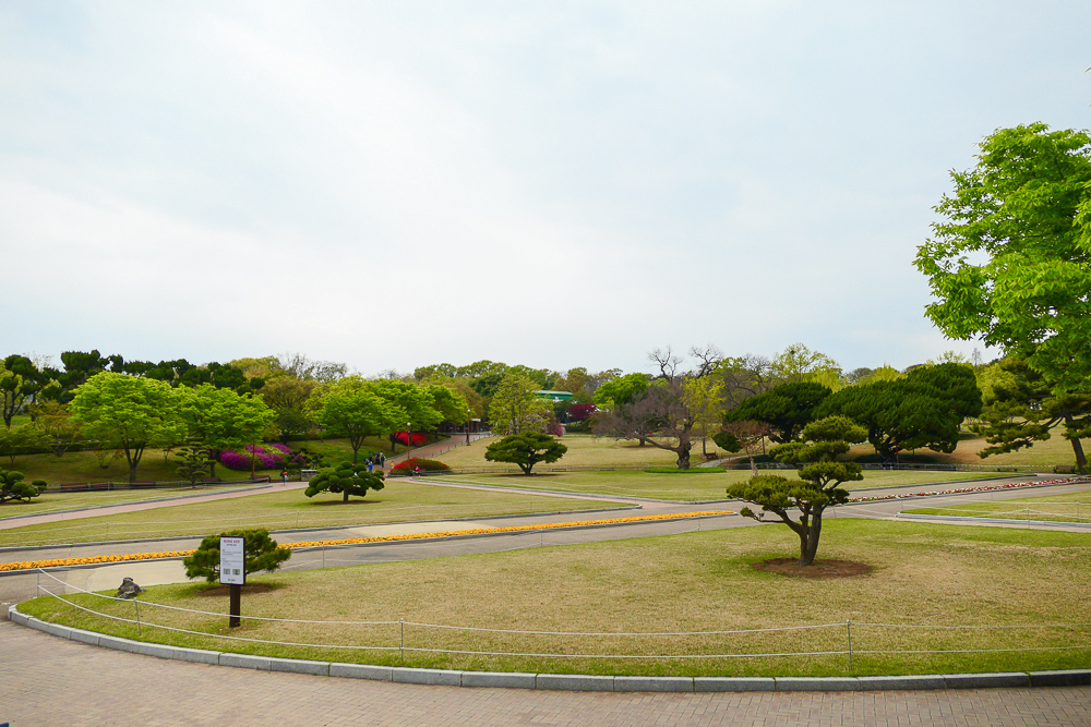 P1250538.jpg