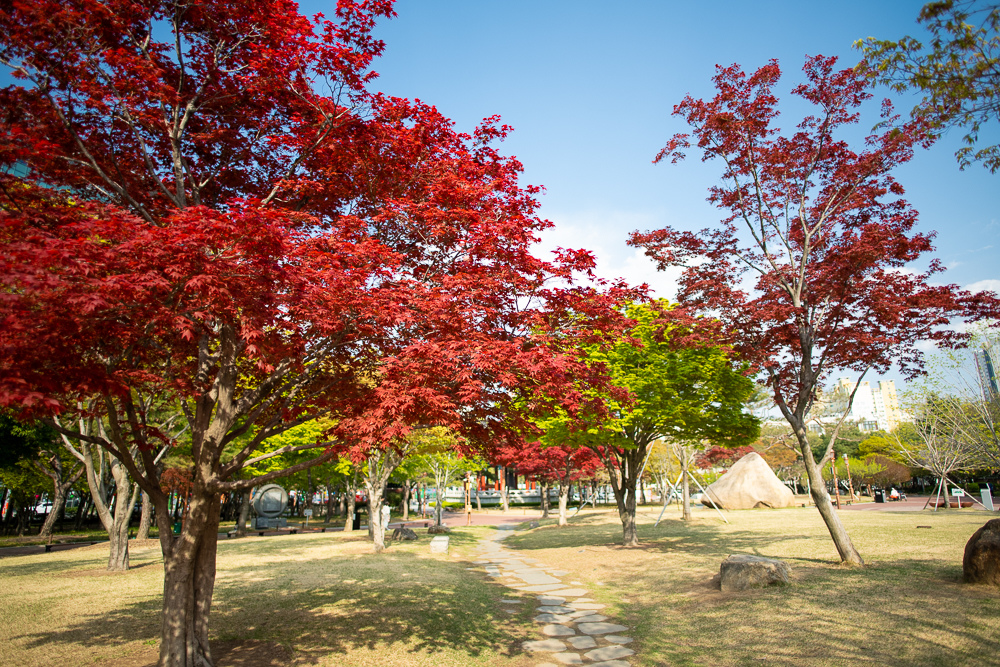DSC_8781.jpg