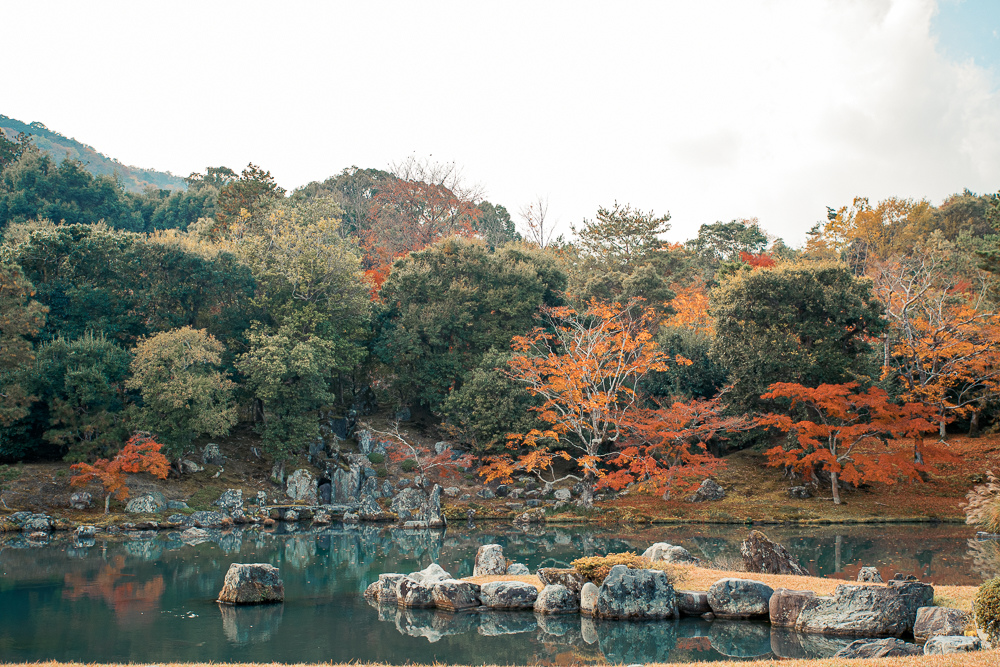 DSC_1012.jpg