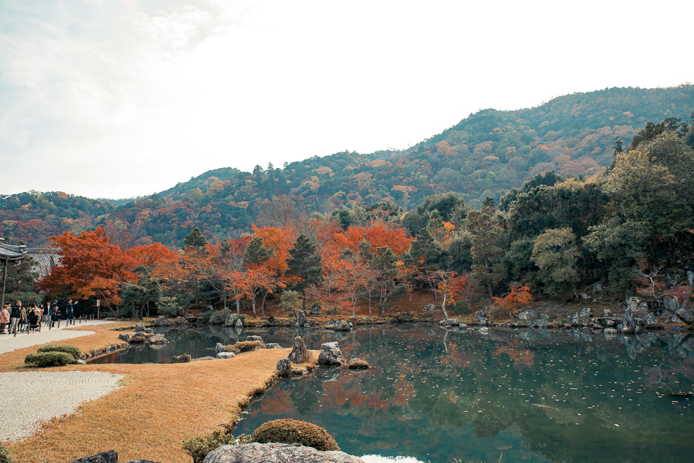 DSC_1015.jpg