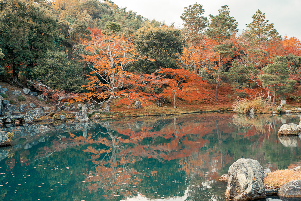 天龍寺