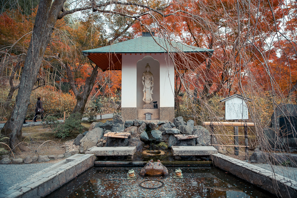 DSC_1031.jpg