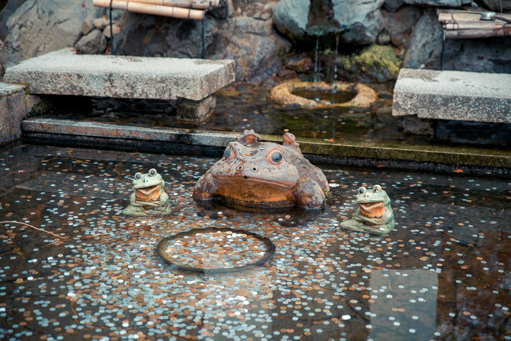 DSC_1032.jpg
