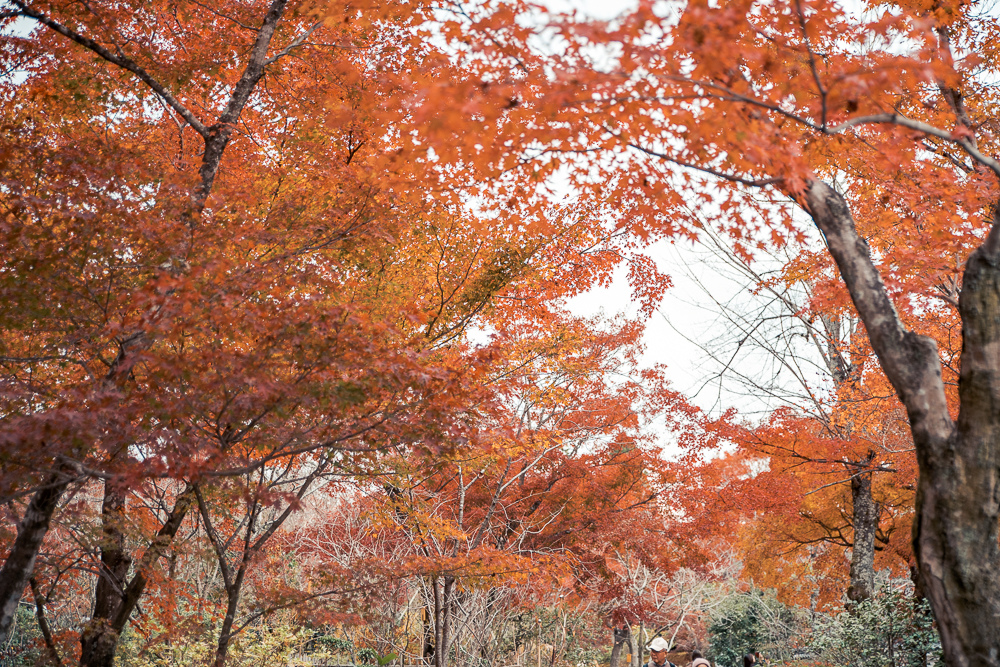 DSC_1034.jpg