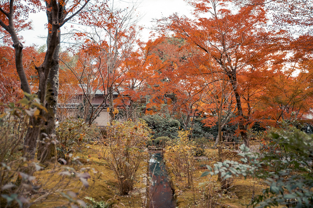 DSC_1041.jpg