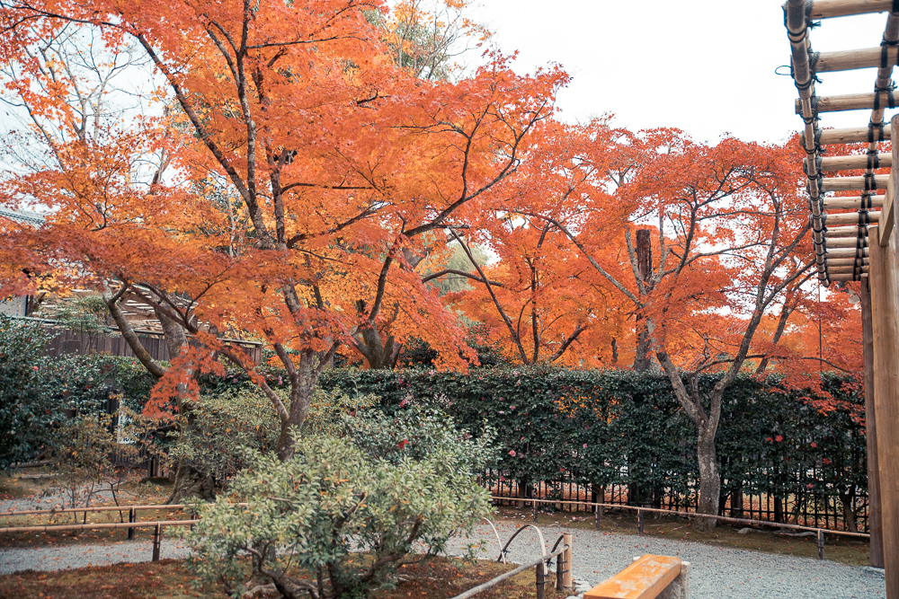 DSC_1033.jpg