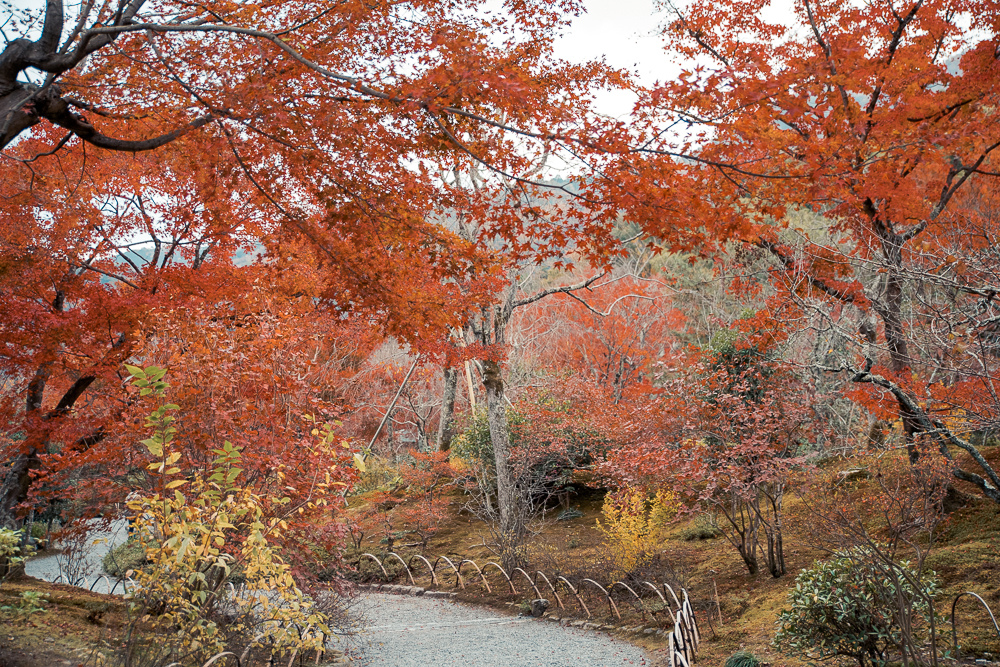 DSC_1054.jpg