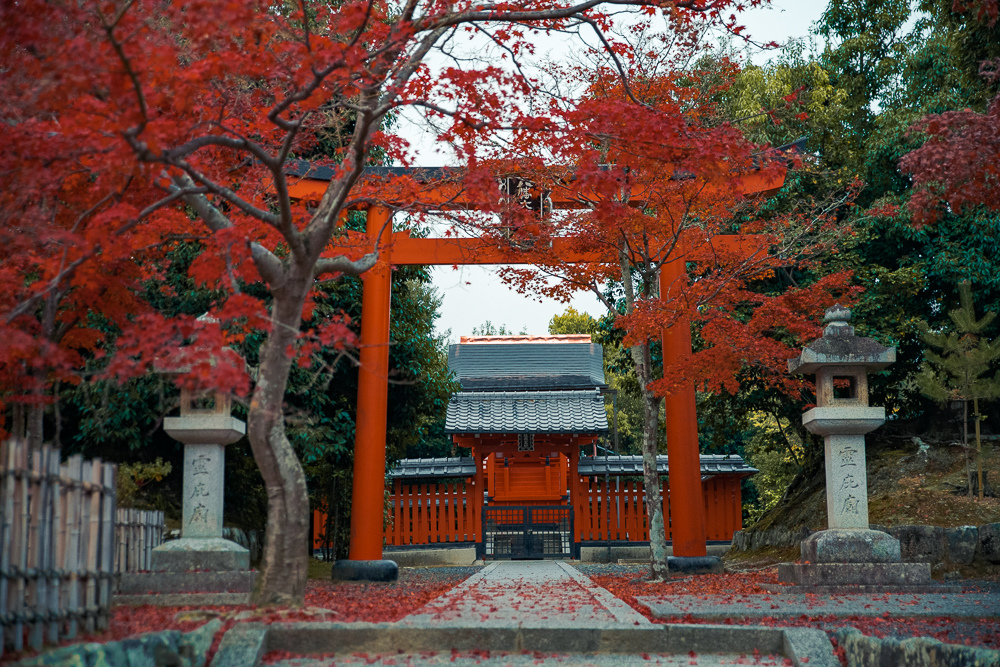 DSC_1117.jpg