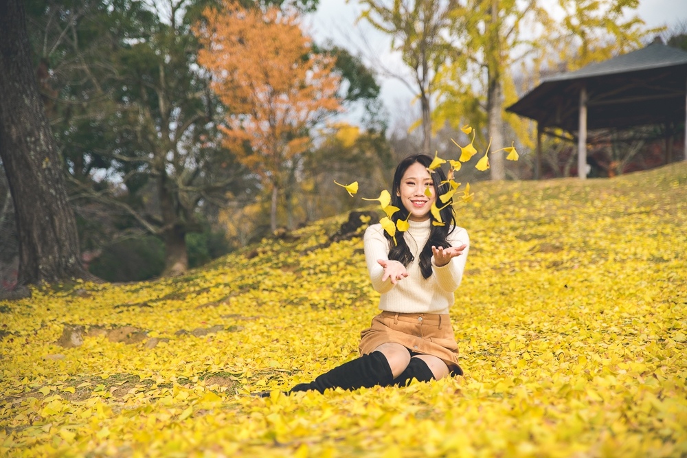 奈良公園